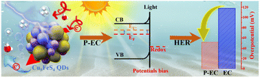 Graphical abstract: Cu5FeS4 quantum dots as a single-component photo-assisted electrocatalyst for efficient hydrogen evolution