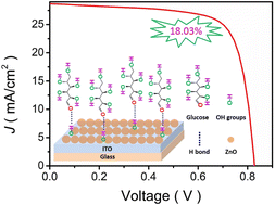 Graphical abstract: Realizing 18.03% efficiency and good junction characteristics in organic solar cells via hydrogen-bonding interaction between glucose and ZnO electron transport layers