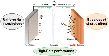 Graphical abstract: Sodium trithiocarbonate cathode for high-performance sodium–sulfur batteries