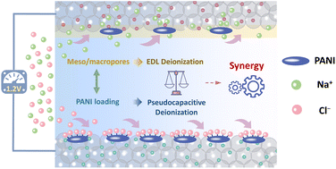 Graphical abstract: Polyaniline-decorated porous carbons with engineered meso/macrochannels for high performance capacitive deionization