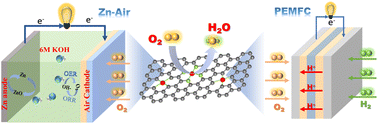 Graphical abstract: Engineering g-C3N4 composited Fe-UIO-66 to in situ generate robust single-atom Fe sites for high-performance PEMFC and Zn–air battery