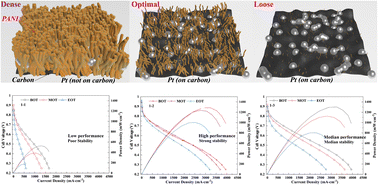 Graphical abstract: Synergistic effect of polyaniline on stabilizing Pt nanoparticles in PEMFCs