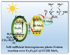 Graphical abstract: Photocatalytic generation of H2O2 over a Z-scheme Fe2O3@C@1T/2H-MoS2 heterostructured catalyst for high-performance Fenton reaction