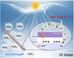 Graphical abstract: Boosting photocatalytic H2O2 production in pure water over a plasmonic photocatalyst with polyethylenimine modification