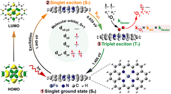 Graphical abstract: Single and dual metal atom catalysts for enhanced singlet oxygen generation and oxygen reduction reaction