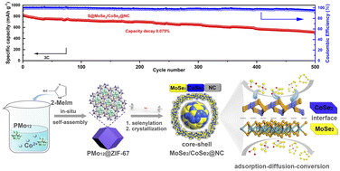 Graphical abstract: Core–shell polyoxometalate-based zeolite imidazole framework-derived multi-interfacial MoSe2/CoSe2@NC enabling multi-functional polysulfide anchoring and conversion in lithium–sulfur batteries
