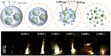 Graphical abstract: Dual-core–shell structure B@LiF@AP with multi-effect synergies to improve processibility and energy release characteristics of B