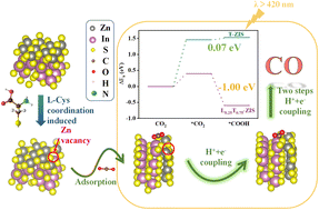 Graphical abstract: Understanding the role of Zn vacancy induced by sulfhydryl coordination for photocatalytic CO2 reduction on ZnIn2S4