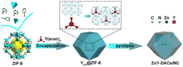 Graphical abstract: Zn–Y dual atomic site catalyst featuring metal–metal interactions as a nanozyme with peroxidase-like activity