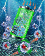 Graphical abstract: Atomic-level orbital coupling in a tri-metal alloy site enables highly efficient reversible oxygen electrocatalysis