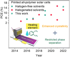 Graphical abstract: Limiting phase separation via halogen-free solvent slot-die processing enables highly efficient and eco-friendly all-polymer solar cells