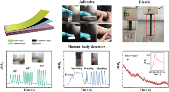 Graphical abstract: Self-adhesive electronic skin for ultra-sensitive healthcare monitoring