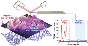 Graphical abstract: Modulating the in-plane local charge density of graphene via carbon quantum dots for enhanced triiodide reduction