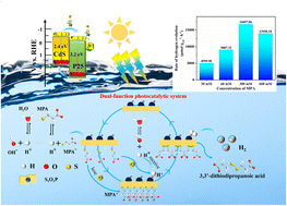 Graphical abstract: Photocatalytic hydrogen evolution and simultaneously converting high-concentration of thiols into disulfides with excellent yield under visible-light