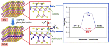 Graphical abstract: Heteroatom P filling activates intrinsic S atomic sites of few-layered ZnIn2S4via modulation of H adsorption kinetics for sacrificial agent-free photocatalytic hydrogen evolution from pure water and seawater