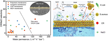 Graphical abstract: Preparation of a triazine porous organic polymer thin film by nanoparticle-polymer reticulation for high-efficient molecule/ion separation