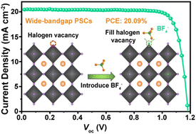 Graphical abstract: Fluoride-assisted crystallization regulation enables efficient and stable wide-bandgap perovskite photovoltaic
