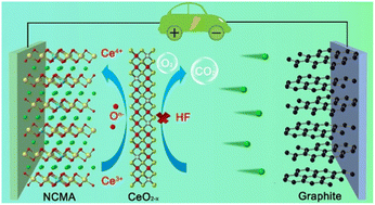 Graphical abstract: Stabilizing lattice oxygen and interface chemistry of Ni-rich and Co-poor cathodes for high-energy lithium-ion batteries