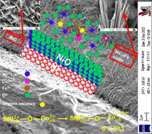 Graphical abstract: Superior oxygen evolution reaction performance of NiCoFe spinel oxide nanowires in situ grown on β-Ni(OH)2 nanosheet-decorated Ni foam: case studies on stoichiometric and off-stoichiometric oxides