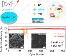 Graphical abstract: Modified lithium metal anode via anion-planting protection mechanisms for dendrite-free long-life lithium metal batteries
