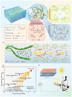 Graphical abstract: Rarely negative-thermovoltage cellulose ionogel with simultaneously boosted mechanical strength and ionic conductivity via ion-molecular engineering