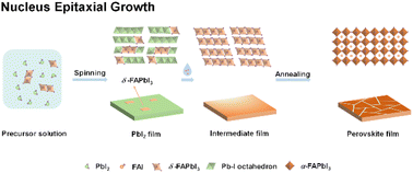 Graphical abstract: High-quality perovskite films prepared by nucleus epitaxial growth for efficient and stable perovskite solar cells