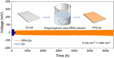 Graphical abstract: Stable Zn electrodes enabled by an ultra-thin Zn phosphate protective layer