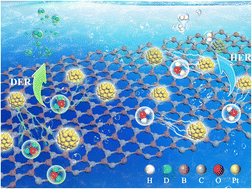 Graphical abstract: B4C enhances the supported platinum DER/HER performance