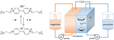 Graphical abstract: Nonionic oligo(ethylene glycol)-substituted viologen negolytes for aqueous organic redox flow batteries