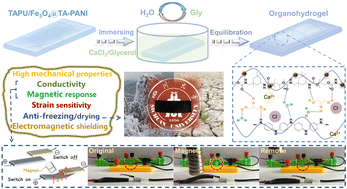 Graphical abstract: A stretchable, environmentally stable, and mechanically robust nanocomposite polyurethane organohydrogel with anti-freezing, anti-dehydration, and electromagnetic shielding properties for strain sensors and magnetic actuators