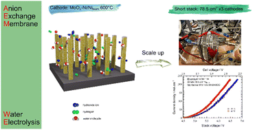Graphical abstract: Probing the activity and stability of MoO2 surface nanorod arrays for hydrogen evolution in an anion exchange membrane multi-cell water electrolysis stack