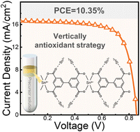 Graphical abstract: A vertical antioxidant strategy for high performance wide band gap tin perovskite photovoltaics