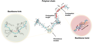 Graphical abstract: Probing single-chain conformation and its impact on the optoelectronic properties of donor–accepter conjugated polymers