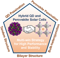 Graphical abstract: Perovskite-quantum dot hybrid solar cells: a multi-win strategy for high performance and stability