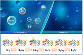 Graphical abstract: Immobilizing and boosting lithium polyselenide conversion via a WSe2/WO2 heterostructure engineering strategy for lithium–selenium batteries