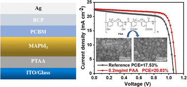 Graphical abstract: A functionalized polyamide acid additive for perovskite solar cells with high efficiency and stability
