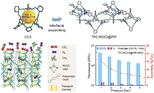 Graphical abstract: A highly permeable porous organic cage composite membrane for gas separation