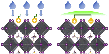 Graphical abstract: Divalent organic cations as a novel protective layer for perovskite materials