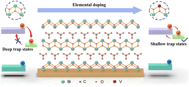 Graphical abstract: Elemental doping inhibits surface-state-mediated charge carrier trapping for promoting photocatalytic selective oxidation