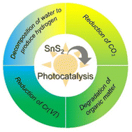 Graphical abstract: Review on the advancement of SnS2 in photocatalysis