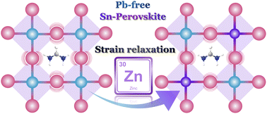 Graphical abstract: Zn2+ ion doping for structural modulation of lead-free Sn-based perovskite solar cells