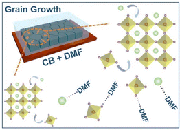 Graphical abstract: Solvent bath annealing-induced liquid phase Ostwald ripening enabling efficient and stable perovskite solar cells