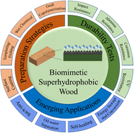 Graphical abstract: Recent development and emerging applications of robust biomimetic superhydrophobic wood
