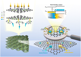 Graphical abstract: Cu–Co bimetallic nanocluster Mott–Schottky interaction increasing oxygen reduction reaction activity in rechargeable Zn-air batteries