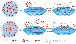 Graphical abstract: Unraveling the regulation of a polyhydroxy electrolyte additive for a reversible, dendrite-free zinc anode