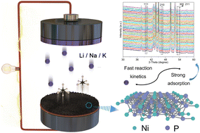 Graphical abstract: Ni2P immobilized on N,P-codoped porous carbon sheets for alkali metal ion batteries and storage mechanism