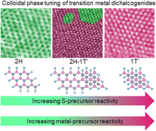 Graphical abstract: Engineering polymorphs in colloidal metal dichalcogenides: precursor-mediated phase control, molecular insights into crystallisation kinetics and promising electrochemical activity