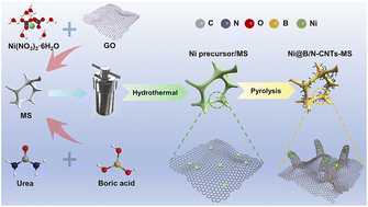 Graphical abstract: Melamine sponge templated synthesis of nickel nanoparticles encapsulated in B, N co-doped carbon nanotubes towards the selective electrosynthesis of hydrogen peroxide