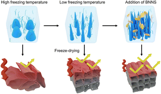 Graphical abstract: Engineering anisotropic structures of thermally insulating aerogels with high solar reflectance for energy-efficient cooling applications