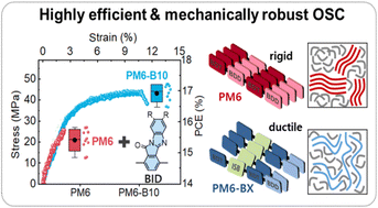 Graphical abstract: Development of rigidity-controlled terpolymer donors for high-performance and mechanically robust organic solar cells